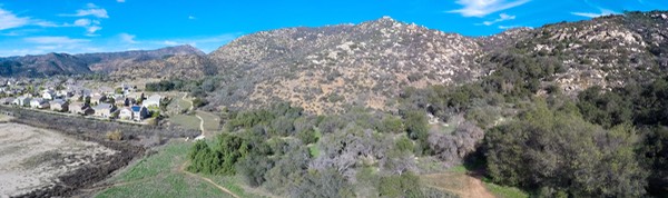 East Grove1 Pano